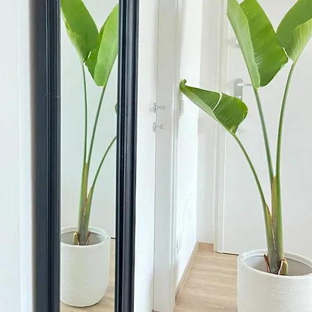 Elegant Penthouse Near * Bari