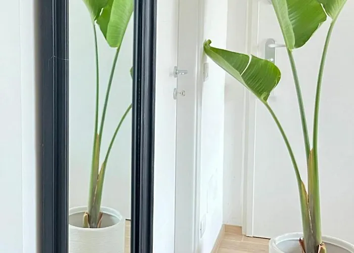 Elegant Penthouse Near * בארי
